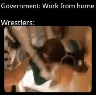THE CHAMPION