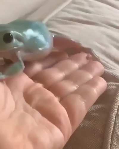 Is this not the cutest thing you have seen today! ??