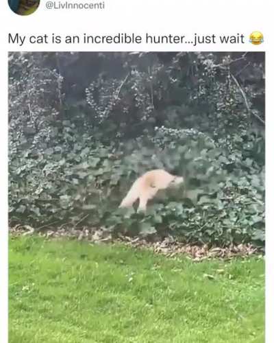 A very calculated hunt