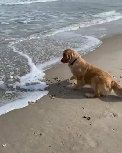 No balls left behind