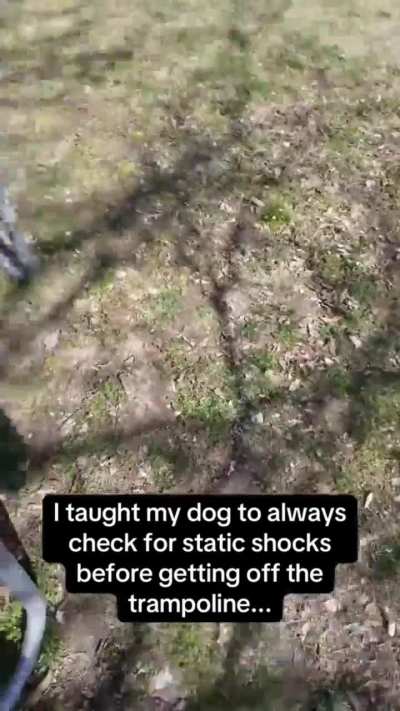 She was so gentle with it ??