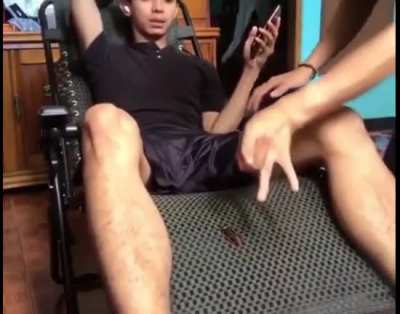 A Cockreach