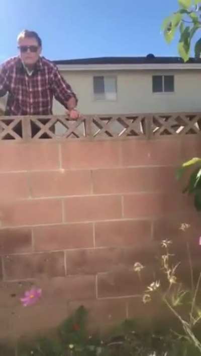To cut a neighbour’s plant