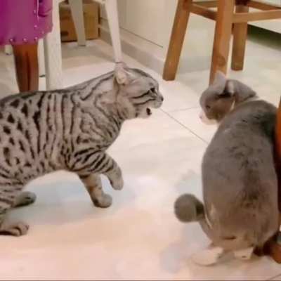 "Are you threatening me? Say hello to my little friend."