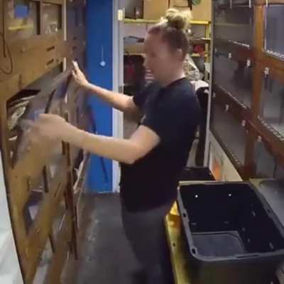 maybe Maybe Maybe