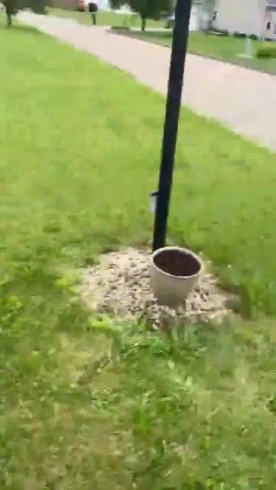 First time meeting a toad went better then expected ?