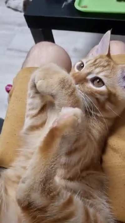My pretty son funny on my lap?