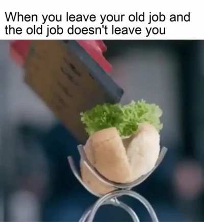 Sandwich is my passion..