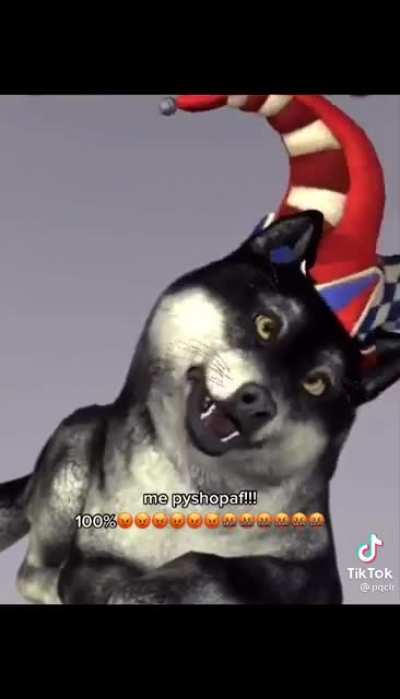 no