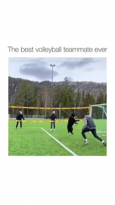The Best Volleyball Teammate Ever ??
