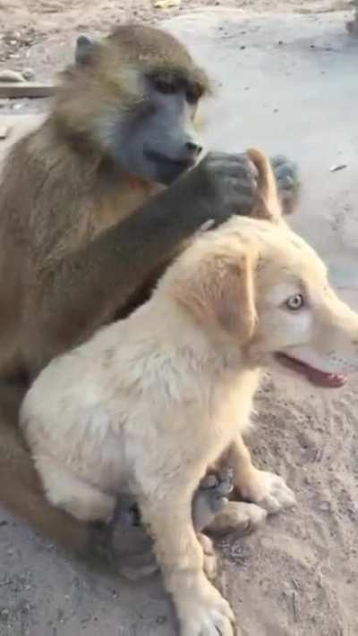 ?
