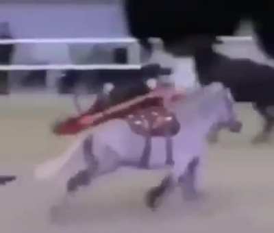 Ambulance horse at your service