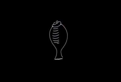 4 billion years
of human evolution into 40 seconds.
