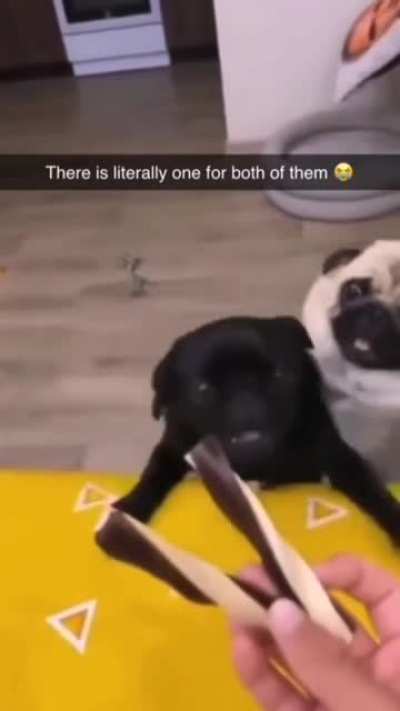 Just look at them...