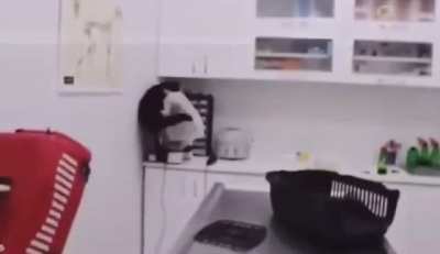Visiting the vet
