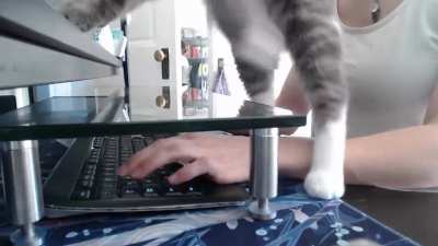 My cat loves stepping on my keyboard, probs gonna try this ?