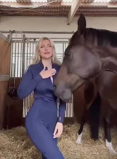 horse is down bad