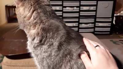 Licky spot gotta lick