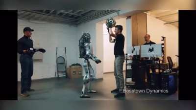 This robot will not tolerate bullying ?