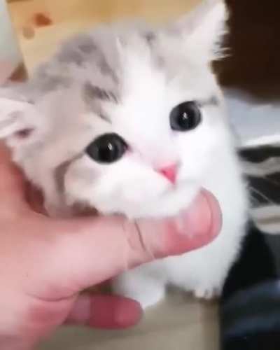 Soooo Sweet ?