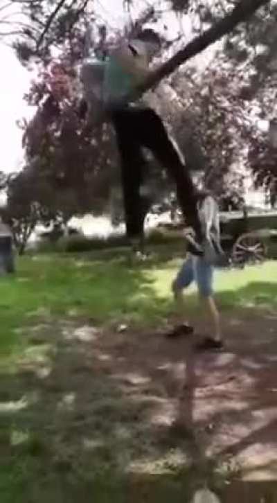 Tree fighting back