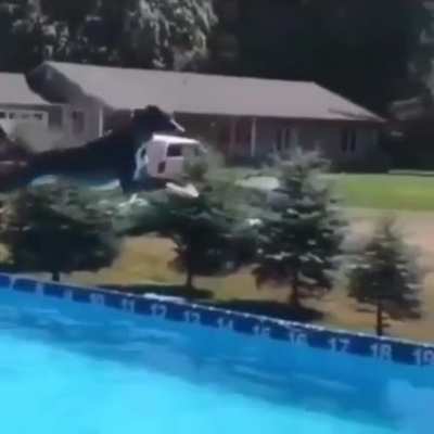 Spitfire jumps a distance of over 31 feet to create a new world record for the farthest leap by a dog