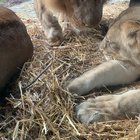 Caught this cute moment while being at the Zoo today