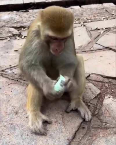 It is important to be hygienic