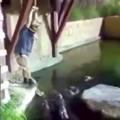 The largest reptiles on Earth bout to meet the dumbest mammals on Earth ?