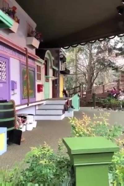 Look at these cats go!