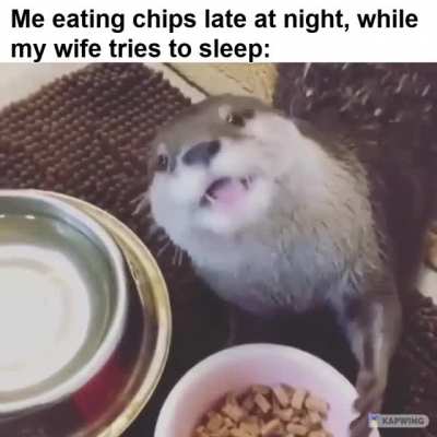*CHOMP* *CHOMP* *CHOMP*