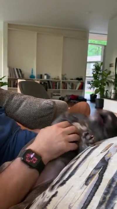 Olive is never not derping ?
