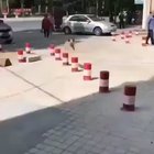 She goes boing boing boing