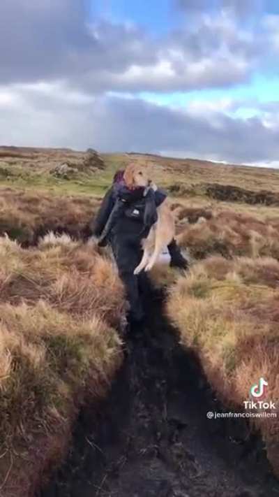 Doggo rescue