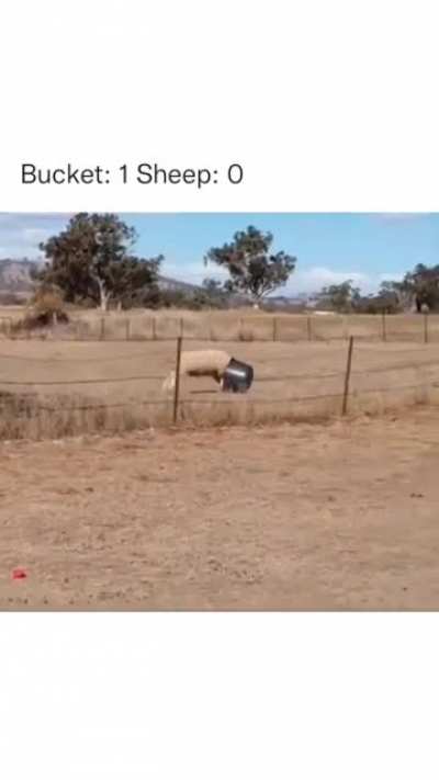 Revenge of the bucket