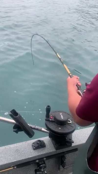 casual fishing evening