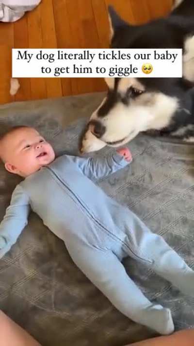 This is too cute, dogs really are the best!
