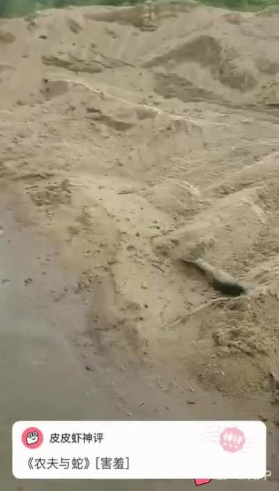 Catching a fish