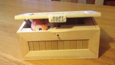 Don't touch box