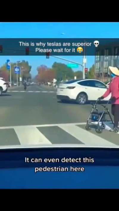 tesla safety features are sick ?