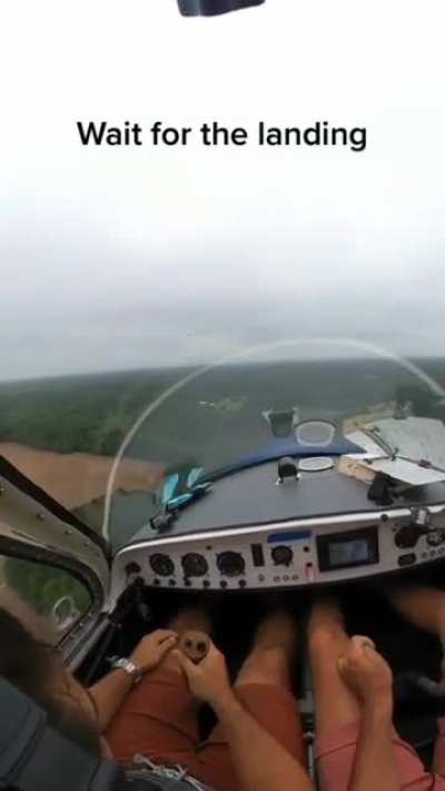 Pilot successfully crash lands his plane on a field after engine failure