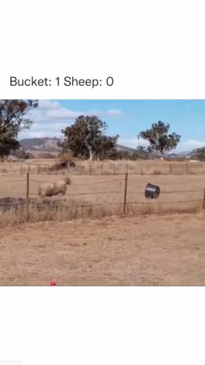 Bucket: You shall not conquer me, peasant.