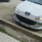 Untitled goose irl