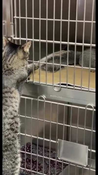 "No touchy."