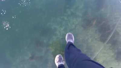 ?Ice freezes crystal clear on Munising Bay