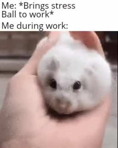 Squishy Squish Squish