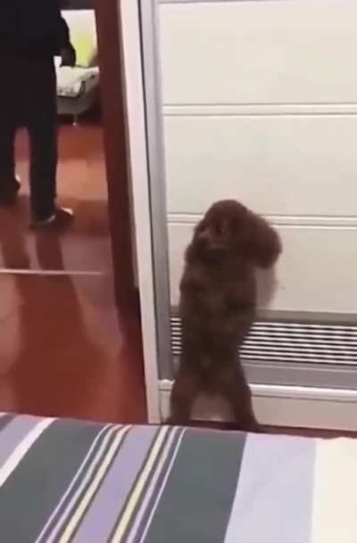 Maybe maybe maybe