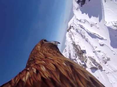 ?POV: flying over mountains on the back of an Eagle