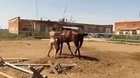What happens when you can't mount a horse?
