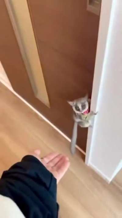 Awww....... Wait...